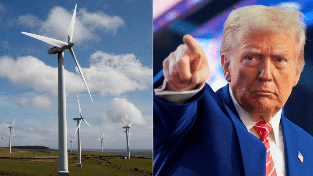 Trump Boosts Renewable Energy Projects Trump Boosts Renewable Energy Projects