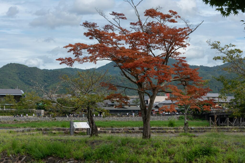 Japan Encourages Travel Beyond Crowded Cities