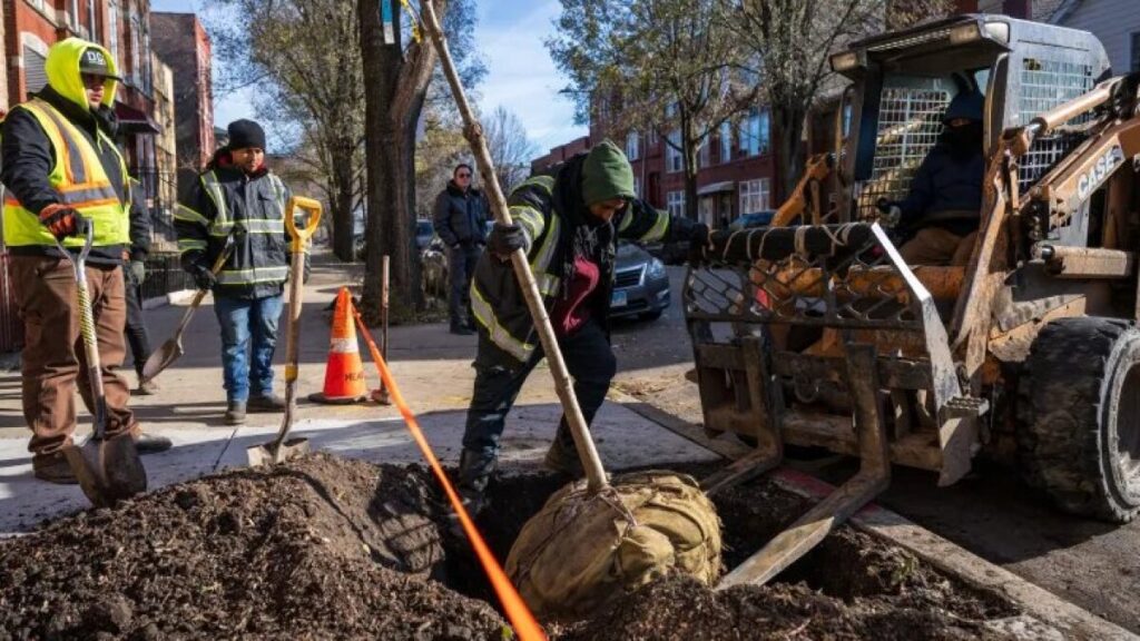 Local Projects Rebuild Social Bonds Nationwide Local Projects Rebuild Social Bonds Nationwide