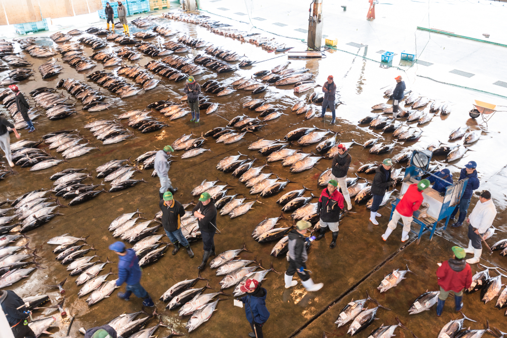 Japan’s New Year Tuna Auction Shatters Records with Million-Euro Sale