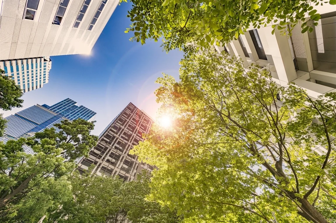 US urban green cities improve health and air now